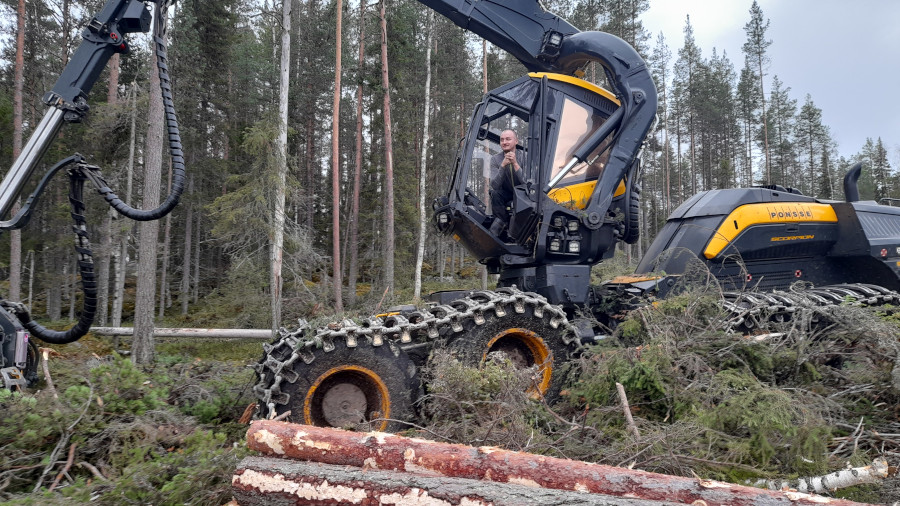 Ponsse Scorpion hakkuualueella